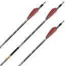 2nd CHANCE | 6 x complete arrow | GOLD TIP Black Label -...