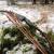 2nd CHANCE | JACKALOPE Moonstick Carbon | 50 Zoll - 45 lbs | One Piece Recurvebogen | Rechtshand
