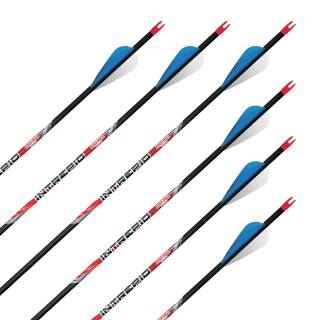 2nd CHANCE | 12 x complete arrow | BLACK EAGLE Intrepid .006 - Carbon - 30.5" - Vanes | Spine 700
