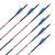 2nd CHANCE | 12 x complete arrow | BLACK EAGLE Intrepid .006 - Carbon - 30.5" - Vanes | Spine 700
