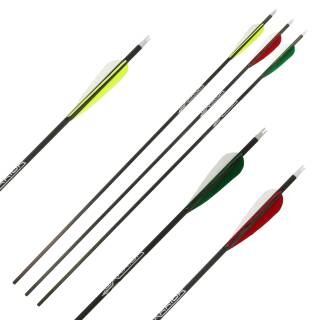 2nd CHANCE | 6er Pack Komplettpfeil | GOLD TIP Warrior - Carbon - Naturfedern - 26,5 Zoll | Spine 340