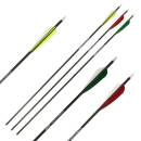 2nd CHANCE | 6er Pack Komplettpfeil | GOLD TIP Warrior -...