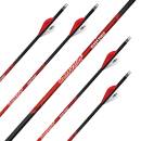 2nd CHANCE | 6 x complete arrow | BLACK EAGLE Rampage...