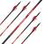 2nd CHANCE | 6 x complete arrow | BLACK EAGLE Rampage .001 - Carbon - Vanes - 28.0" | Spine: 300