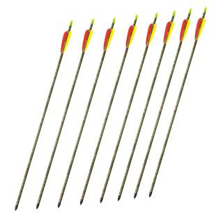 Complete Arrow BSW Greenbay Pro