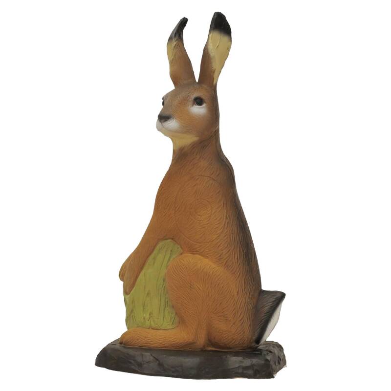 SRT Hase