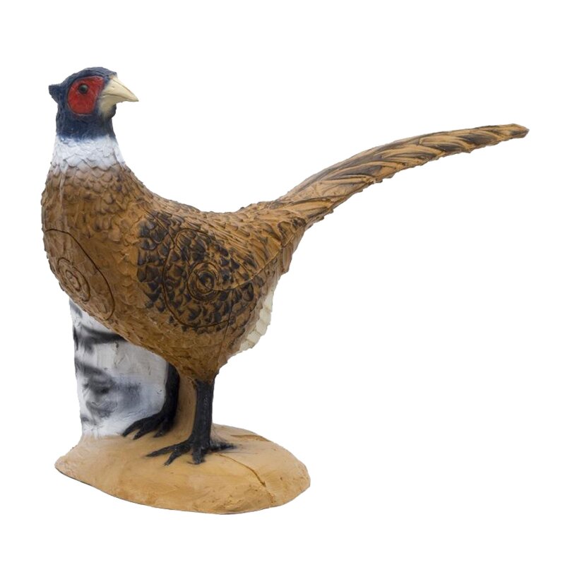 SRT Pheasant