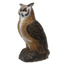 SRT King Owl