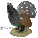 SRT Capercaillie [***]