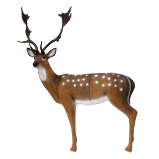 SRT Fallow Deer [***]