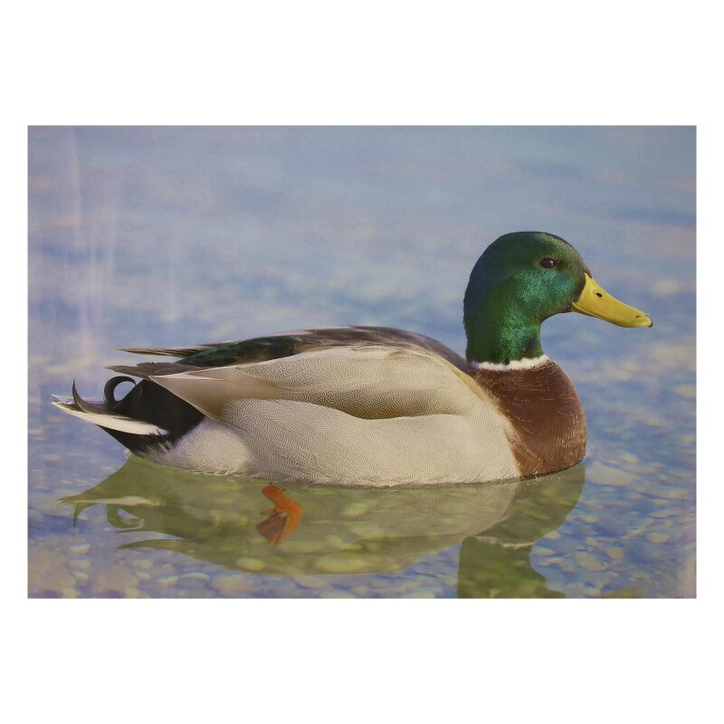 STRONGHOLD Animal Target Face - Duck II - 30 x 42 cm - hydrophobic / tear-resistant