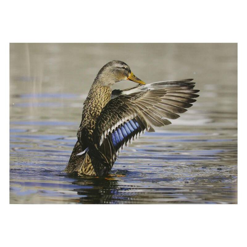 STRONGHOLD Tierauflage - Ente III - 30 x 42 cm - wasserabweisend/reifest