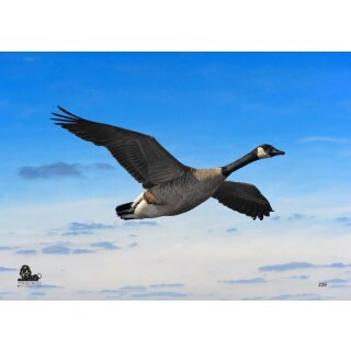 STRONGHOLD Animal Target Face - Flying Goose - 42 x 59 cm - hydrophobic / tear-resistant