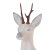 LONGLIFE 3D Antlers Roebuck - Accessories