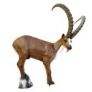 LEITOLD Ibex [Forwarding Agent]