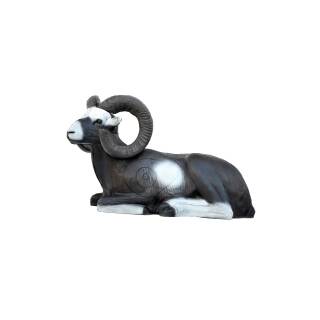 LEITOLD Sitting Mouflon