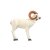 LEITOLD Standing Dall´s Sheep [Forwarding Agent]