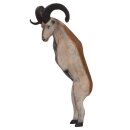 LEITOLD Marco Polo Sheep, straight standing [Forwarding...