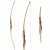 BIG TRADITION Oryx Hunter - 68 inches - Longbow - 50 lbs | Left Hand