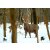 STRONGHOLD Animal Target Face - Deer Pack in the Winter Forest - 59 x 84 cm - hydrophobic / tear-resistant