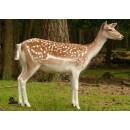 STRONGHOLD Animal Target Face - Fallow Deer II - 59 x 84...