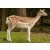 STRONGHOLD Animal Target Face - Fallow Deer II - 59 x 84 cm - hydrophobic / tear-resistant