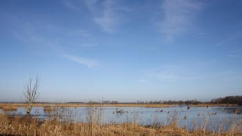 Jetzt ist es raus! Neues Jahr - neuer Shop II