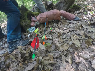 Perfekter Treffer für David bei der Bogenjagd