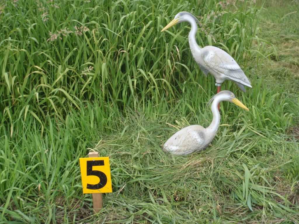 offene Landesmeisterschaft 2016