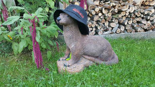 Dieser hübsche Otter fand seinen Weg auf Annika's heimischen Parcours Dieser hübsche Otter fand seinen Weg auf Annika's heimischen Parcours